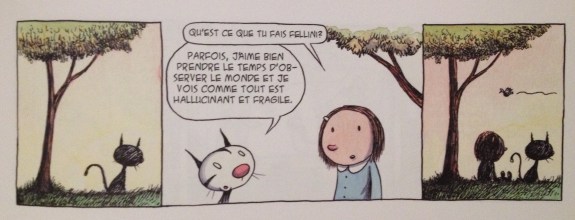 Halluciannt et fragile