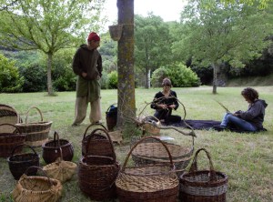Marie, la cigale et moi