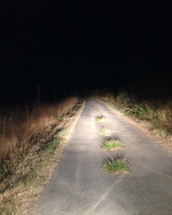 2016-08-24-00-49-47-copie