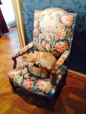 fullsizerender-copie-13