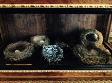 fullsizerender-copie-8