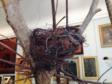 fullsizerender-copie-9