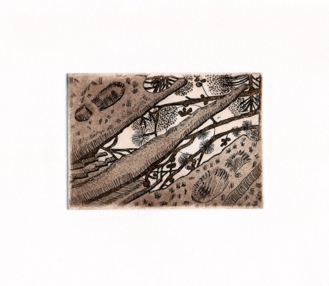 balade-apres-la-pluie